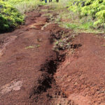 Upstream solution is key to saving reef